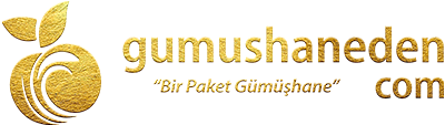 Gümüşhane Pestil Köme Altın Logosu