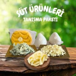 süt ürünleri tanışma paketi